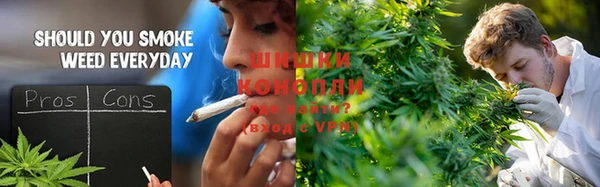 ПСИЛОЦИБИНОВЫЕ ГРИБЫ Верхнеуральск