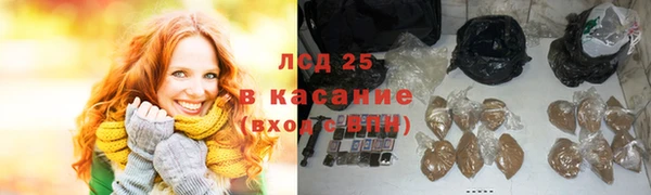 ПСИЛОЦИБИНОВЫЕ ГРИБЫ Верея