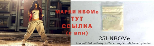 шишки Елабуга