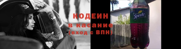 ПСИЛОЦИБИНОВЫЕ ГРИБЫ Верея