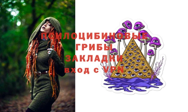 ПСИЛОЦИБИНОВЫЕ ГРИБЫ Верхнеуральск