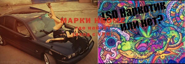 ПСИЛОЦИБИНОВЫЕ ГРИБЫ Верхнеуральск