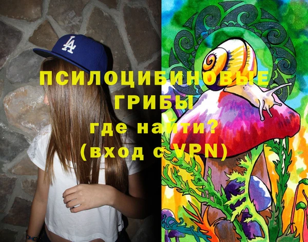 ПСИЛОЦИБИНОВЫЕ ГРИБЫ Верея