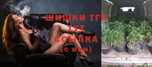 ПСИЛОЦИБИНОВЫЕ ГРИБЫ Верхнеуральск