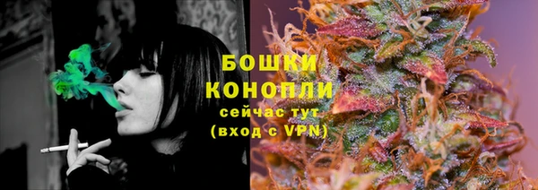 2c-b Заводоуковск
