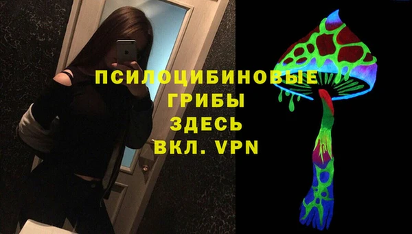 ПСИЛОЦИБИНОВЫЕ ГРИБЫ Верея
