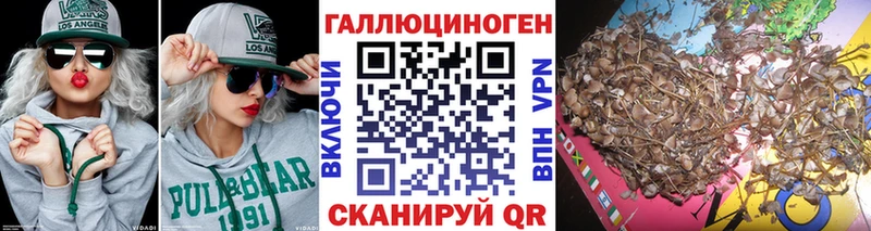 наркотики  Высоцк  Галлюциногенные грибы Magic Shrooms 